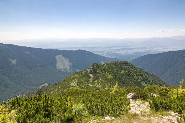 Uitzicht vanaf de zomer Bergen - West Tatra, Slowakije, Europa — Stockfoto