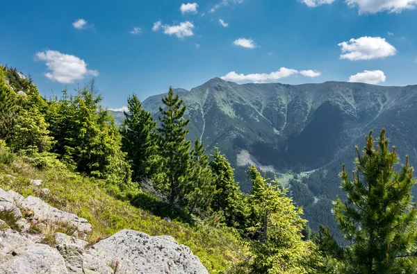 Increíbles montañas de verano bajo el cielo azul —  Fotos de Stock