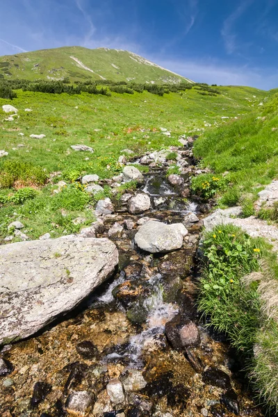 Mountain creek under peak and blue sky — Stock Photo, Image