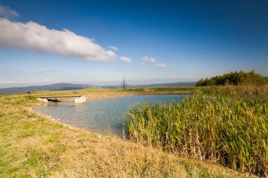 Sonbahar kırsalında küçük gölet