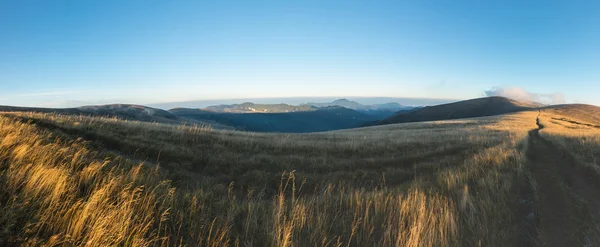 Panorama vanaf de ochtend met gras begroeide bergrug — Stockfoto