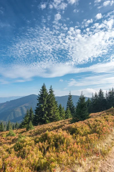 Paesaggio montano all'inizio dell'autunno — Foto Stock