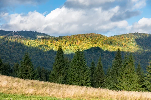 Increíble bosque de montaña a principios de otoño — Foto de Stock