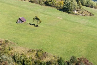 Yeşil mera üzerinde küçük evi