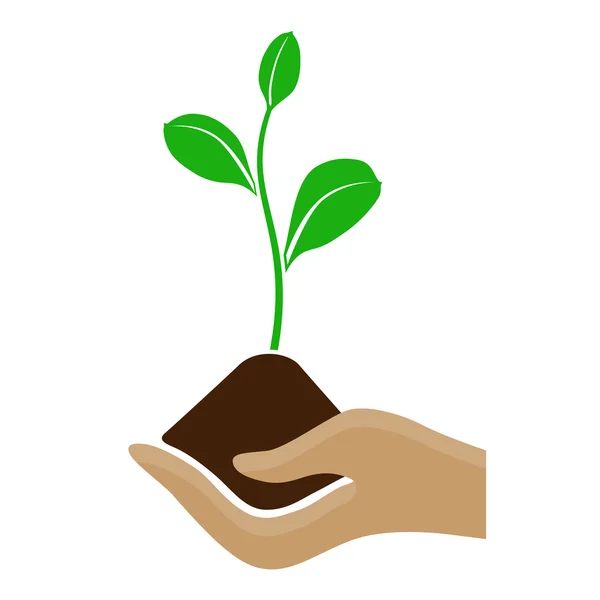 Stylized hand holding a pile of dirt and growing plant — Stock Vector