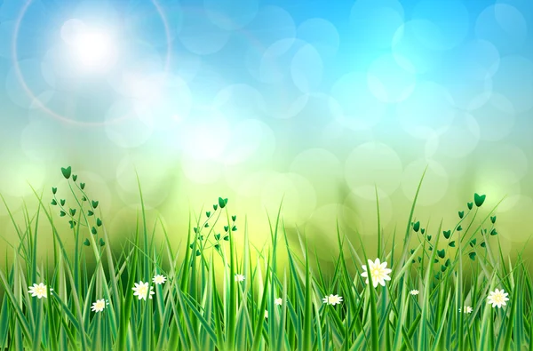 Frühling Hintergrund mit Gras, Blumen und verschwommenem Hintergrund — Stockvektor