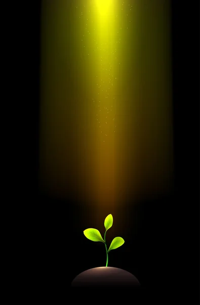 Pile of dirt and growing plant under shining light beams — Stock Vector