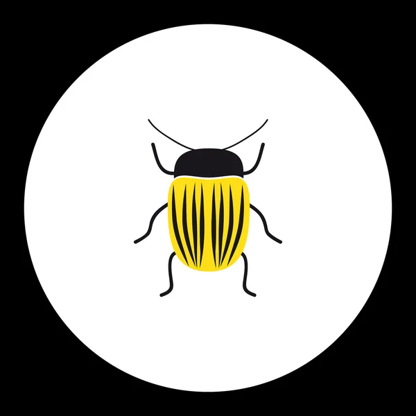 Simple yellow little colorado beetle black icon eps10 — Stock Vector