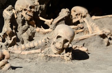 skulls of long time ago dead men in the ruins of Ercolano Italy clipart