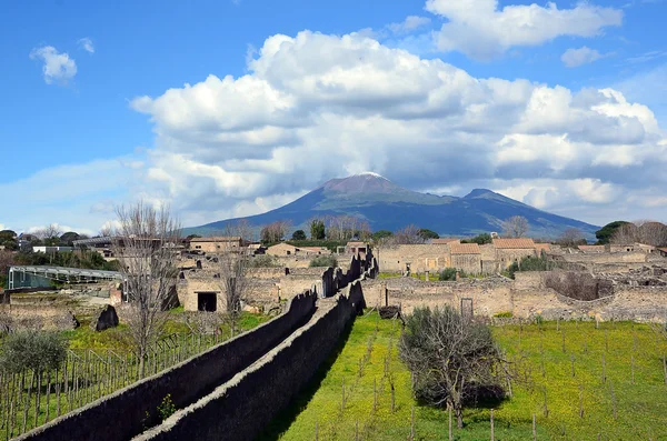 Longo caminho e vesúvio céu nublado de pompeia cidade escavação itália — Fotografia de Stock