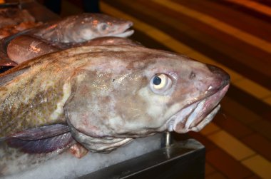 çirkin bir balık yan yüzünde yerel Balık pazarı tablosu