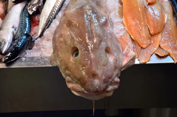 Άσχημο ψάρι στο τραπέζι των τοπικών ιχθυαγορών — Φωτογραφία Αρχείου