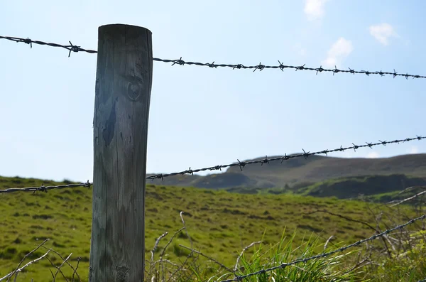 Holzpfahl mit Stacheldrahtumrandung der Weide — Stockfoto