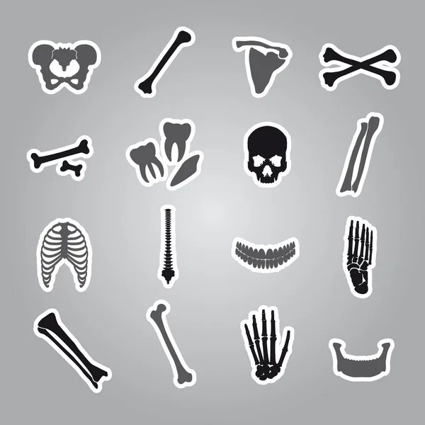 Human bones stickers set eps10 — Stock Vector