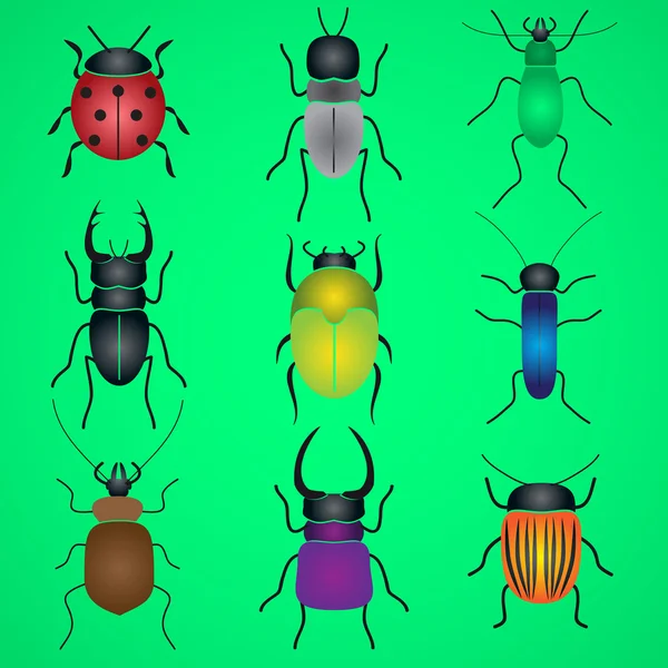 Kleur bugs en kevers pictogrammen instellen eps10 — Stockvector