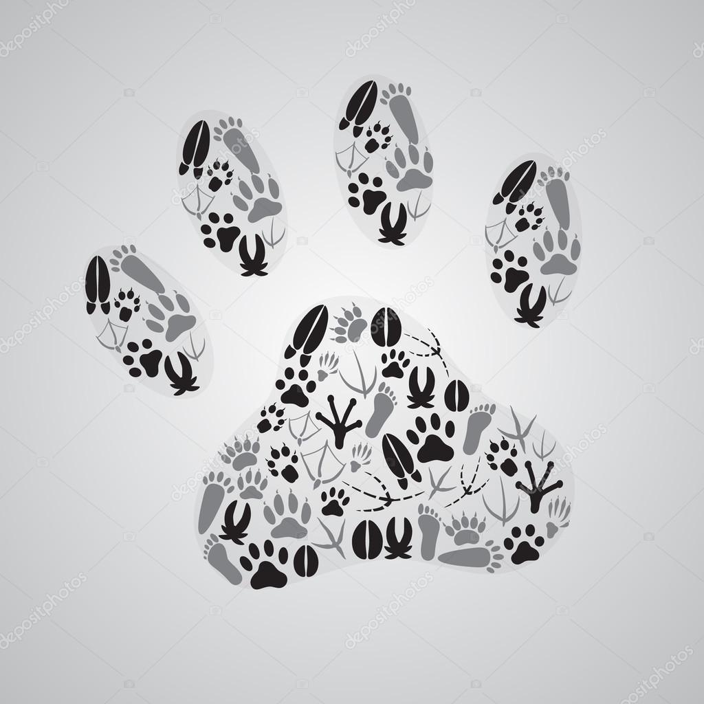 various animal footprints eps10