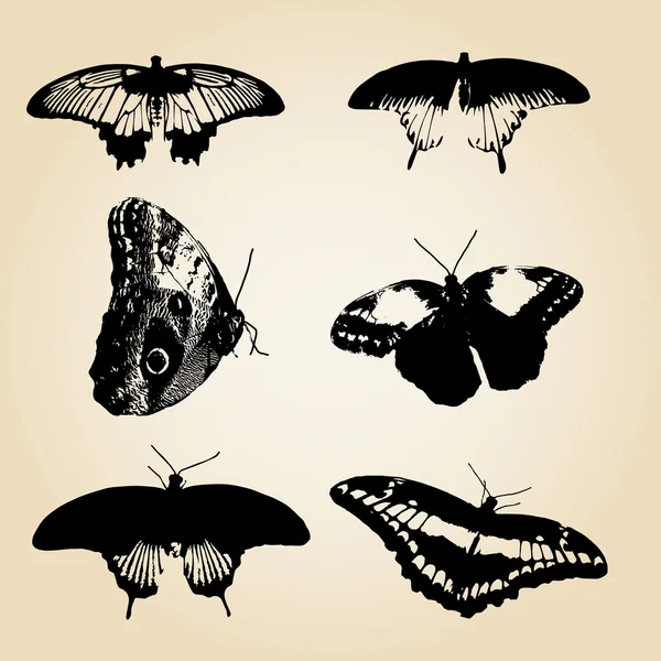 Six types de papillons vecteurs noirs eps10 — Image vectorielle