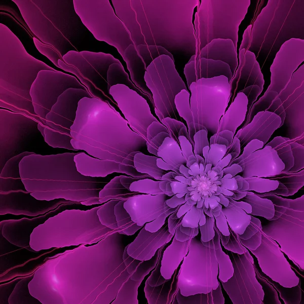 Purple transparent 3d fractal flower ornament — Stock Photo, Image