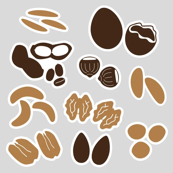Коричневые наклейки различных типов орешков — стоковый вектор