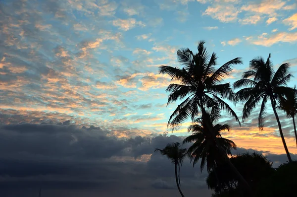 Puesta de sol con palmeras y cielo azul nublado junto al mar — Foto de Stock