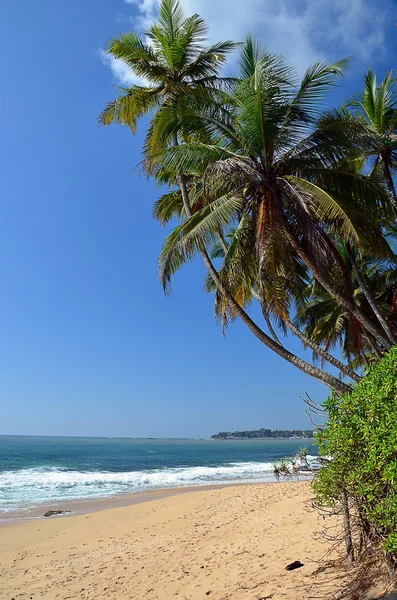 Spiaggia tropicale e cielo blu in riva al mare foto verticale — Foto Stock