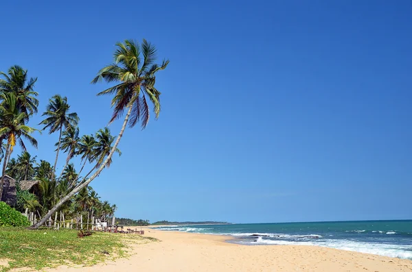 Playa tropical con palmeras y cielo azul junto al mar — Foto de Stock