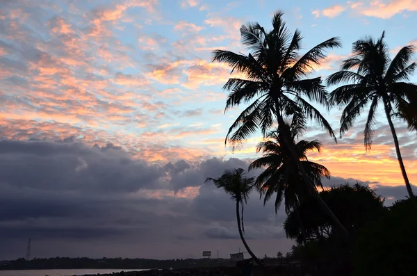 Praia e céu azul com palmeiras junto ao mar ao pôr-do-sol — Fotografia de Stock