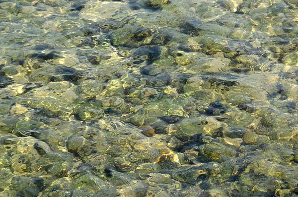 Transparente ver a través de agua de mar foto textura — Foto de Stock