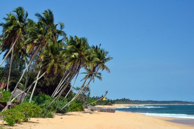 tropikal plaj ve deniz kenarında mavi gökyüzü 