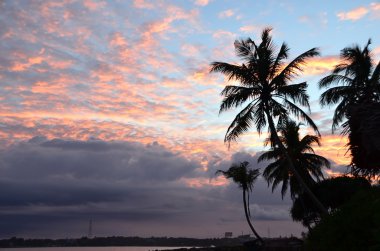 plaj ve mavi gökyüzü günbatımı üzerinde deniz kenarında palmiye ağaçları ile