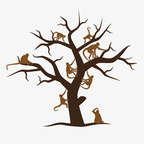 Hnědá opičí strom s mnoha opice eps10 — Stockový vektor