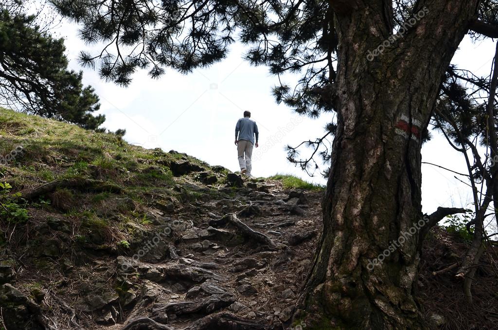 a tourist man walking to the hill in the forest 