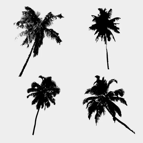 Çeşitli tropikal palmiye ağacı siyah sembolleri eps10 — Stok Vektör