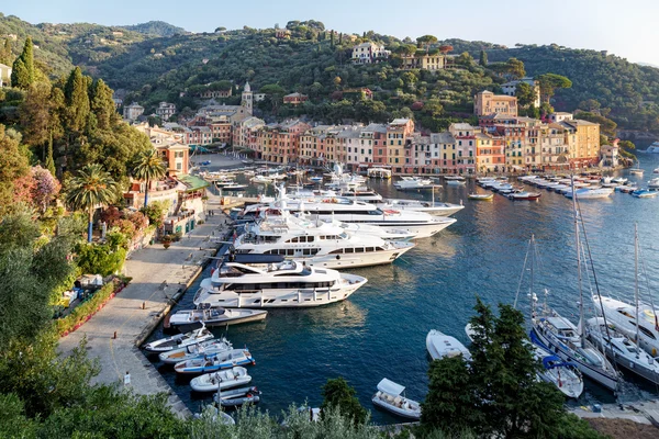 Luxury yachts in the port of Portofino — Stock Photo, Image