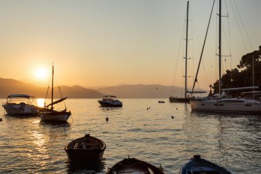 Balıkçı tekneleri Portofino Harbour