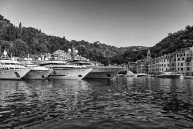 Portofino içinde demirleyen lüks motor yatlar