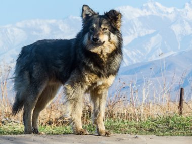 ?????? ???? ????????