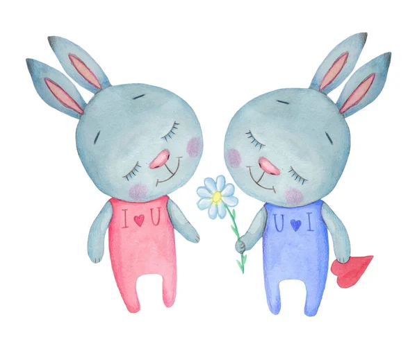Due Simpatici Coniglietti Dei Cartoni Animati Conigli Ragazzo Ragazza Illustrazione — Foto Stock