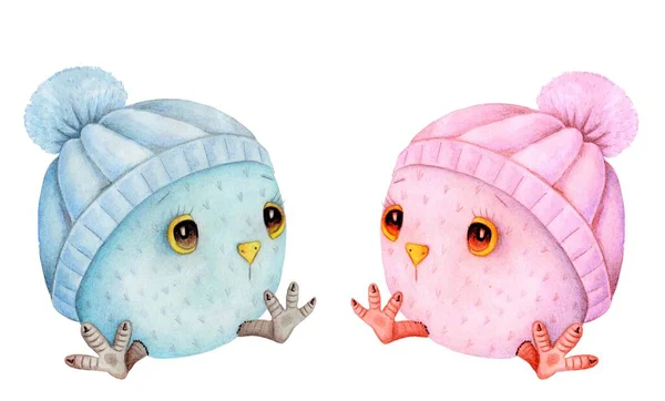 Chouettes Dessins Animés Dans Des Casquettes Hiver Aquarelle Art Dessiné — Photo