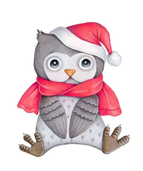 Nyår Jul Illustration Söt Tecknad Liten Uggla Skog Fågel Akvarell — Stockfoto