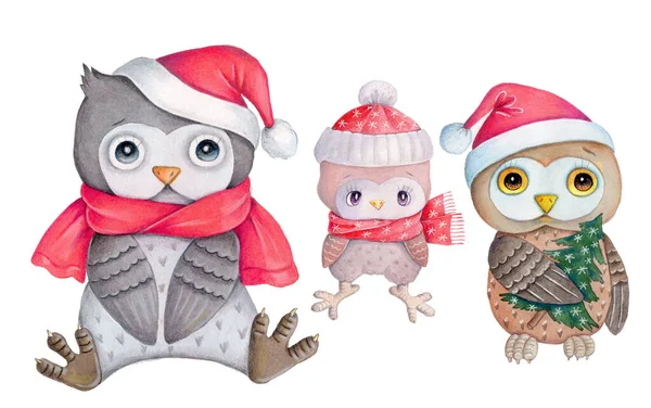 Año Nuevo Ilustración Navidad Pequeños Búhos Dibujos Animados Lindo Pájaros —  Fotos de Stock