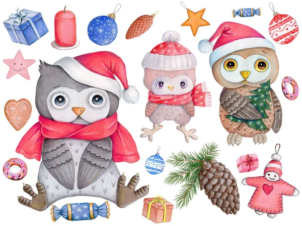 Ano Novo Conjunto Ilustração Natal Corujas Desenhos Animados Bonitos Pássaros — Fotografia de Stock