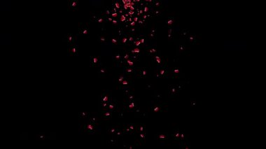 kırmızı kalpler şeffaf arkaplan üzerine düşüyor