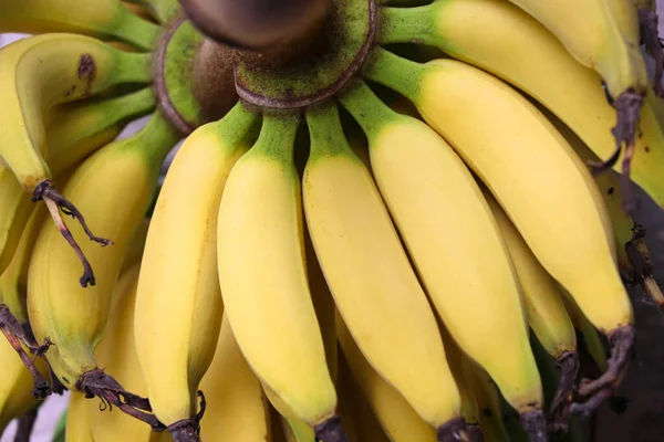 Sweet bananas are yellow color good nutrition and growth from agriculture farm