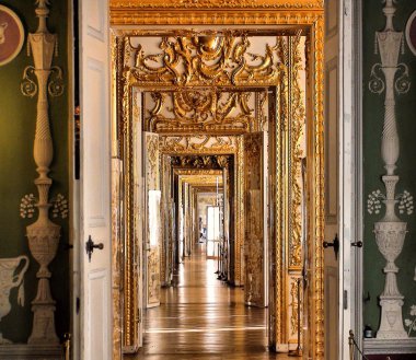 Catherines Palace Tsarskoe selo St. Petersburg Rusya