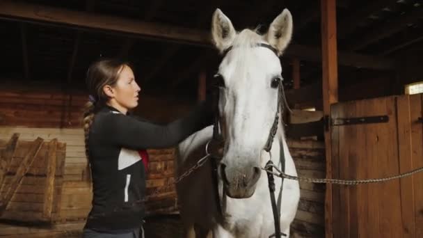 Vrouw maakt wit paard klaar voor dressuurtraining, poetst hengst met borstel — Stockvideo
