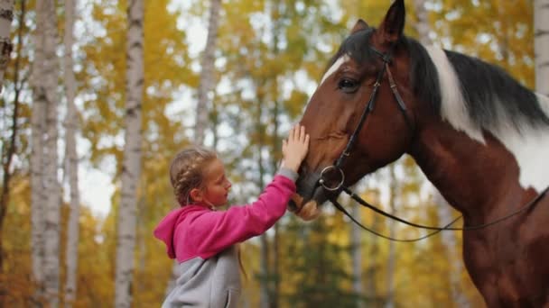 A kislány lóháton öleli és simogatja, a gyerek lóháton ül. — Stock videók