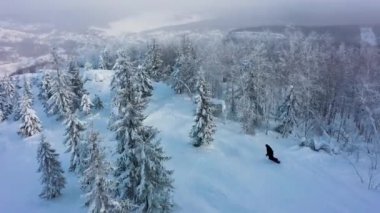 Kayak merkezindeki ormanda tepeye doğru giden snowboardcuların en iyi görüntüsü.