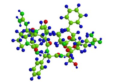 Bradikinin - moleküler yapısı