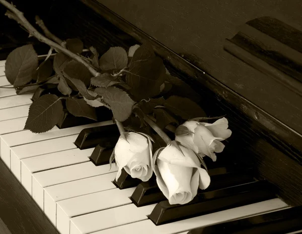 Carte de condoléances - rose au piano — Photo